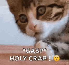 Omg Oh My Gosh GIF