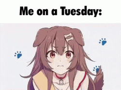 On A Tuesday Inugami Korone Anime GIF