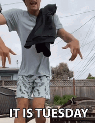 On A Tuesday Mike Panero GIF