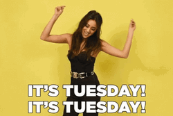 On A Tuesday Shay Mitchell Happy Dance GIF