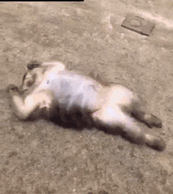 On Budget Hospital Stuffs GIF