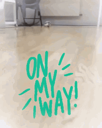 On My Way Running Hedgehog GIF