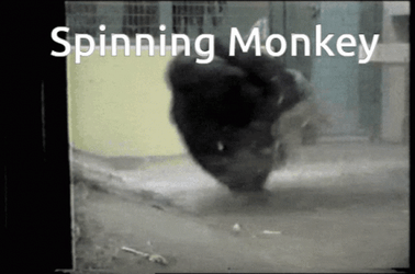 One Leg Spinning Funny Monkey GIF