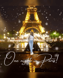 One Night In Paris GIF