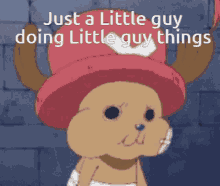 One Piece Chopper Cute Chewing GIF