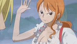 One Piece Nami Slapping Sanji GIF