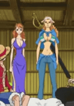 One Piece Nami Wanda Standing GIF
