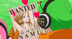 One Piece Nami Wanted GIF