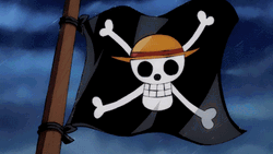 One Piece Straw Hat Flag