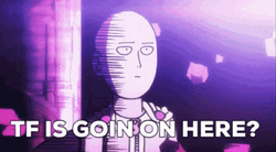 One Punch Man Saitama Tf Is Going On  GIF