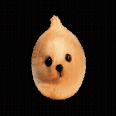 Onion Stuffed Animal With Dog Face GIF