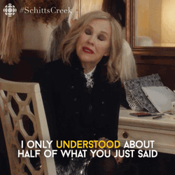 Only Understood About Half Of What You Said GIF