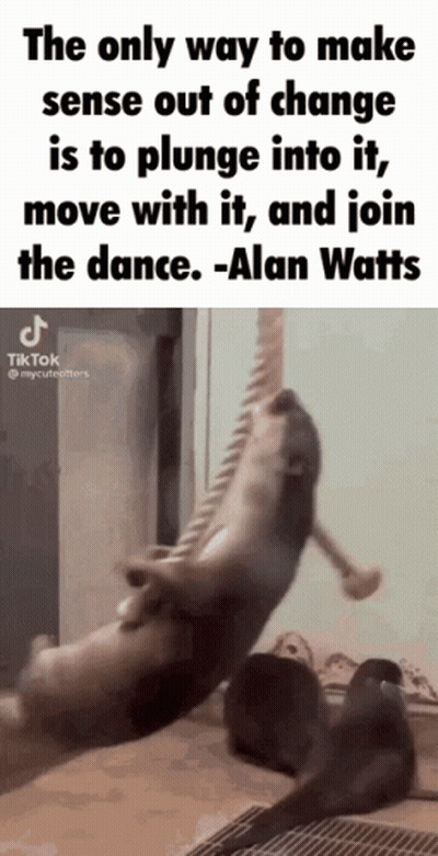 Only Way To Make Sense Out Of Change Is To Plunge Into It GIF