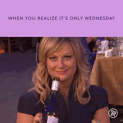 Only Wednesday Amy Poehler GIF
