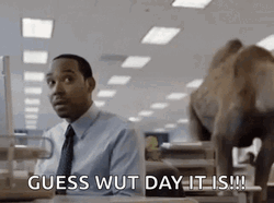 Only Wednesday Guess What Mike Office GIF