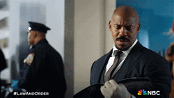 Ooh Law And Order Jesse Martin GIF