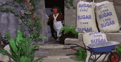 Oompa Loompa Popping Out GIF