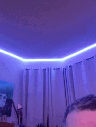Oooo Big Eyes Artmold GIF