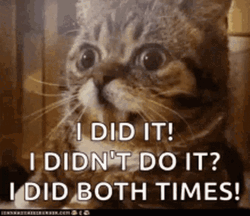 Oops I Did It Again GIF