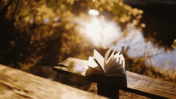 Open Book Flip Pages Outdoor Spring GIF