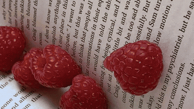 Open Book With Raspberry GIF
