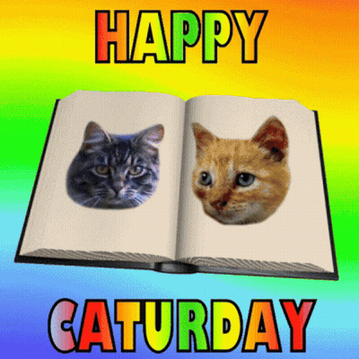 Open Book With Two Cats Happy Saturday GIF