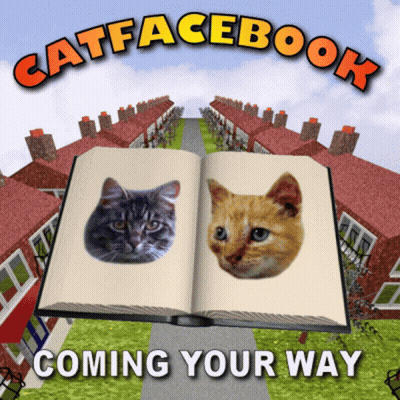 Open Book With Two Cats Titled Catfacebook GIF