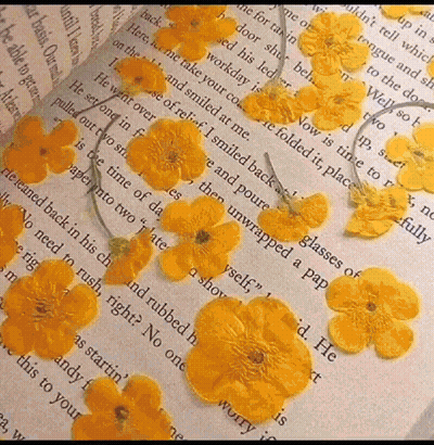 Open Book With Yellow Flowers GIF