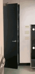 Open Door Let Me Check First GIF