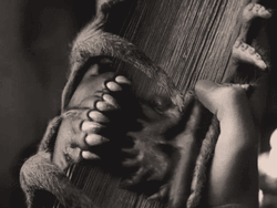 open-monster-book-biting-harry-potter-agsm7uf4gv2qiw33.gif