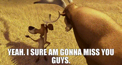 Open Season Elliot GIF