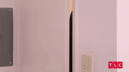 Open The Noor Meme Diva GIF