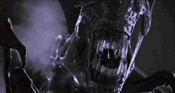 Open You Mouth Xenomorph GIF