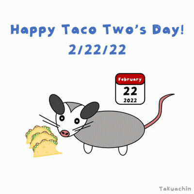 Opossum Eating Tacos February 22 2022 GIF