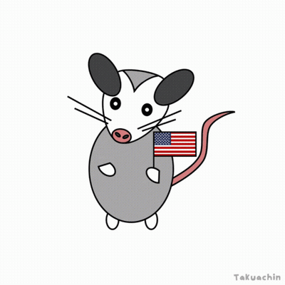 Opossum Holding American Flag By Takuachin GIF
