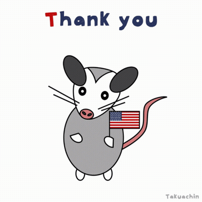Opossum Holding American Flag Saying Thank You GIF