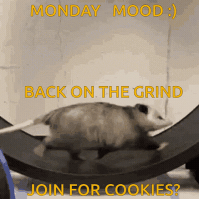 Opossum On Roller Coaster Monday Mood Back On The Grind GIF