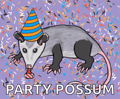 Opossum Wearing Party Hat Saying Party Possum GIF