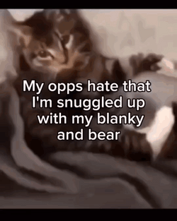 Opps Blanket And Bear GIF