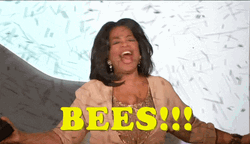 Oprah Winfrey Releasing Bees And Raising Arms GIF