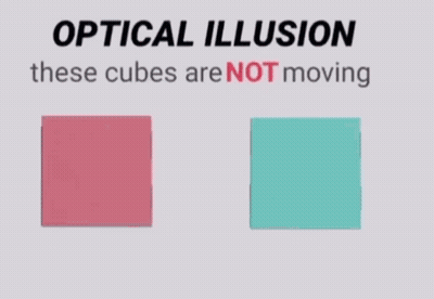 Optical Illusion These Cubes Are Not Moving GIF