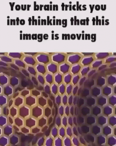 Optical Illusion Your Brain Tricks You Into Thinking Image Is Moving GIF