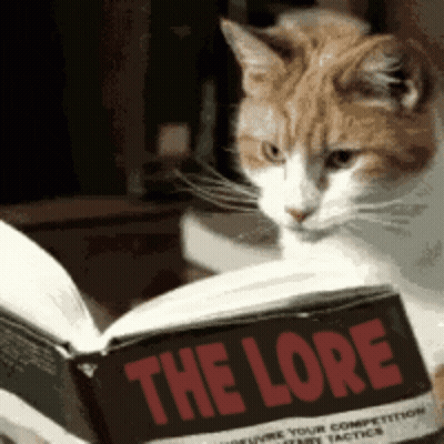 Orange And White Cat Reading Lore Book GIF
