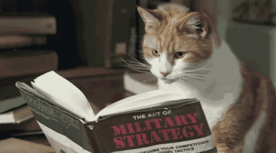 Orange And White Cat Reading The Art Of Military Strategy GIF