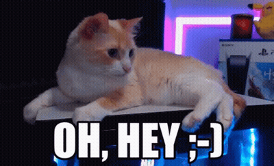 Orange And White Cat Saying Oh Hey GIF