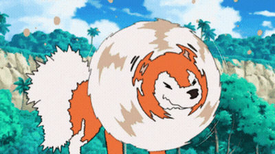 Orange And White Dog With Swirling Tail GIF