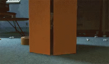 Orange Box Sitting On Carpet In Living Room GIF