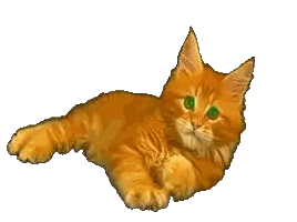 Orange Cat Laying Down And Looking Sticker