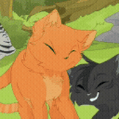 Orange Cat With Green Eyes Standing Next To Black Cat GIF