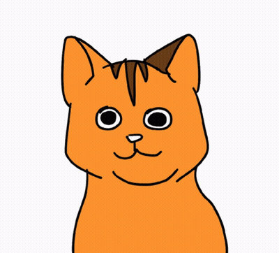 Orange Cat With White Nose GIF